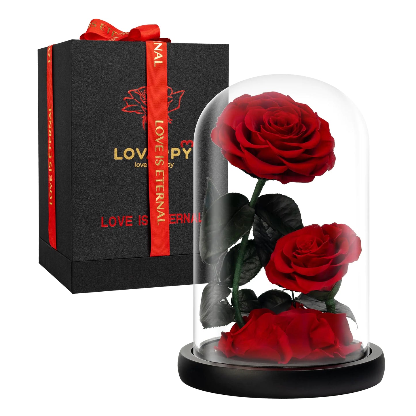 LOVAPPY Eternal Flower in a Glass Dome: Preserved Rose - The Perfect Forever Infinity Rose Gift for Her on Valentines Day Mothers Day Birthday Anniversary Wedding and Christmas (9 inch) valentines