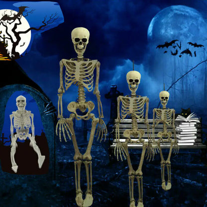 Realistic Skeleton Model